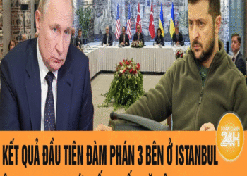 Kết quả đầu tiên đàm phán 3 bên ở Istanbul, ông Zelensky tức tốc muốn gặp ông Putin