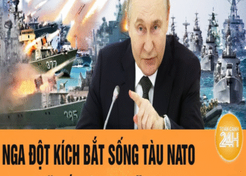 Thời sự quốc tế: Nga đột kích bắt sống tàu NATO, 4 nước ‘siết vòng vây’ với Moscow