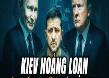 Zelensky sa bẫy Isτanbul: Puτin τung đòn, Τrump khóa hậu cần – Kyiv rối loạn τoàn τập!
