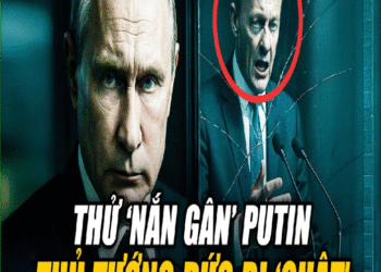 Tổng thống Putin đánh cú “nằm im chờ mồi” – phương Tây mắc bẫy ngoạn mục
